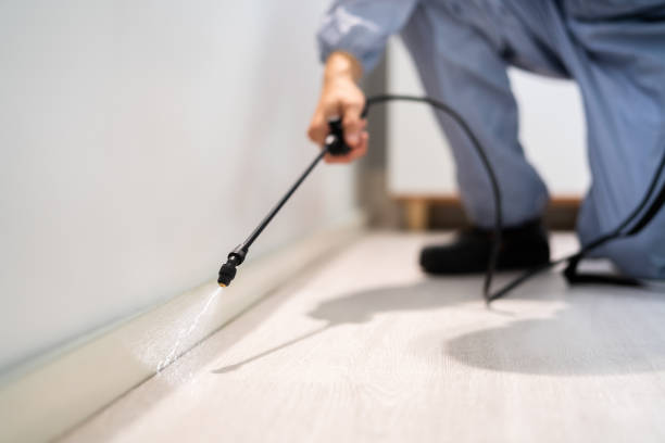 Bed Bug Pre-Treatment Preparation Assessment in Platteville