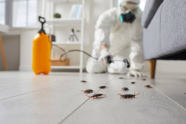 Post-Treatment Bed Bug Interceptor Monitoring in Platteville