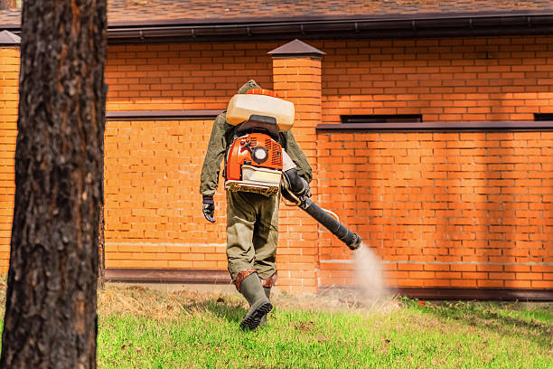 Bed Bug Clearance Verification and Documentation in Platteville